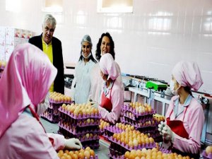 Hülya Koçyiğit...EFSANE OYUNCUNUN ORGANİK DÜNYASI!