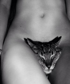 Candice Swanepoel... SEKSİ MODEL HAYVANSEVERLERİ KIZDIRDI AMA, YA BU KEDİNİN YERİNDE OLMAK İSTEYENLER?