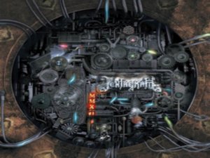 PLAK TUTKUNLARINA MÜJDE !..