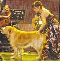 Sezen Aksu... CANO'SUNU KAYBETTİ !..