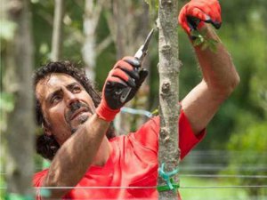 Beyaz Karanfil... UYUŞTURUCU İLE MÜCADELE İÇİN "KURT" TRANSFERLER!