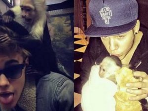 Justin Bieber... ÇILGIN ŞARKICININ MAYMUNUNA HAVAALANINDA REKOR CEZA !..