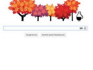 `Google` dan şaşırtan yeni bir uygulama... REKLAM İSTEMEYEN KULLANICILARDAN, PARA ALACAK !..