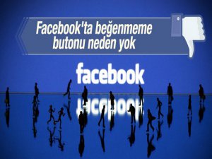 Merak edilen soruya açıklık getirildi... `FACEBOOK` TA `BEĞENMEME` BUTONU NEDEN YOK ?..