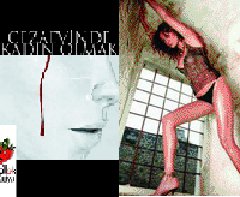 Cezaevinde Kadın Olmak...BU KİTAP SANKİ TUĞBA ÖZAY İÇİN YAZILMIŞ...