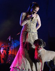 POP MÜZİĞİNİN ÜNLÜLERİ BARINAK GÖNÜLLÜLERİ İÇİN SAHNE ALDI !