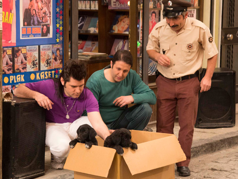 Seksenler... YAVRU KÖPEKLERE SAHİP ARANIYOR!