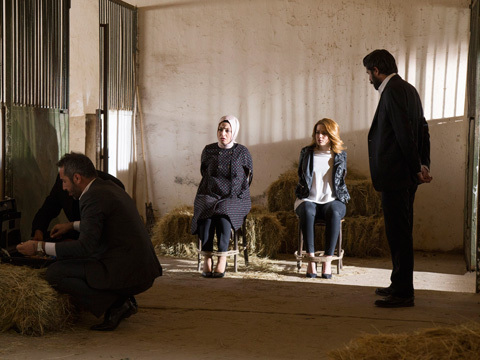 Kertenkele... HAYATI TEHLİKEDE!