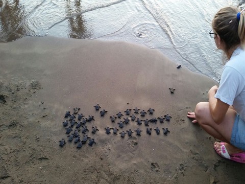 'İftarlık Gazoz'... EĞLENCELİ FİLME CARETTA CARETTA MOLASI !..