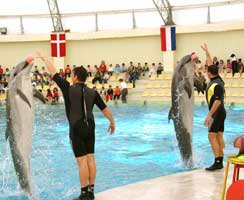 "YUNUS SHOW"  BAYRAMDA BAHÇEŞEHİR AQUA DOLPHINDE!