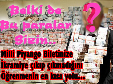 2016 MİLLİ PİYANGO ÇEKİLİŞİ BİLET SORGULAMA EKRANI