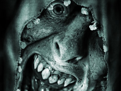 “Cin Tohumu”...ÇEKİMLERİ ESNASINDA HOCALARA OKUTULAN TEK KORKU FİLM!..