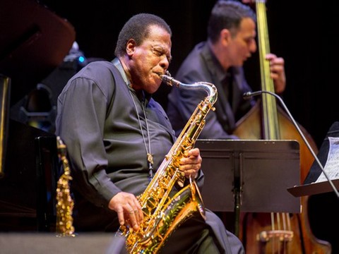 Wayne Shorter Quartet...CEMAL REŞİT REY'DE CAZ ŞÖLENİ!..