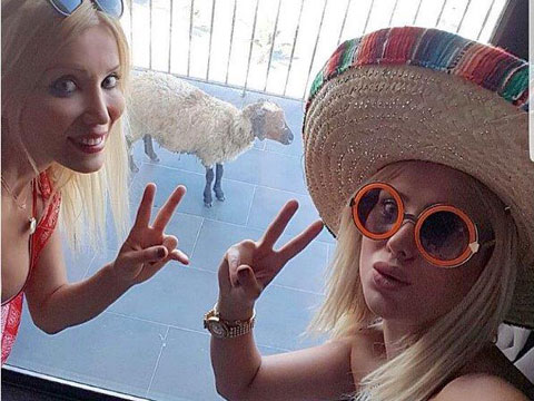 CİCİŞLERDEN ÖRNEK DAVRANIŞ!