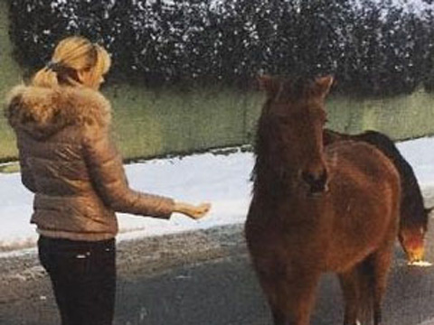 Pınar Altuğ Atacan... KARŞISINA YABANİ AT ÇIKINCA!