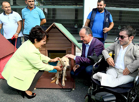 ÜNLÜ İSİMLER HAYVANLAR İÇİN ELELE VERDİ!