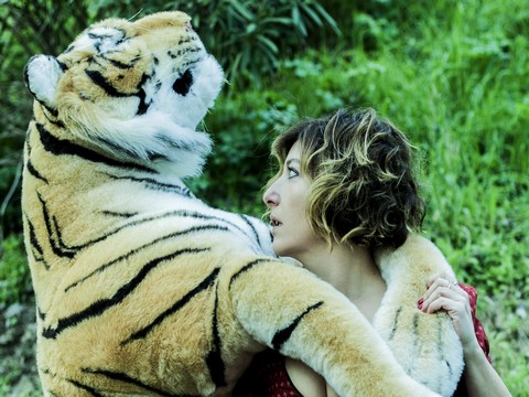 Şebnem Bozoklu / Kaplan Sarılması... BİR KADININ TRAJİKOMİK HİKAYESİ!..