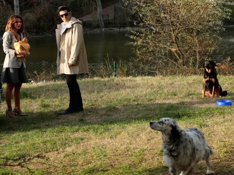 Argos / Ufak Tefek Cinayetler... OYUNCU KÖPEKDEN SOKAK HAYVANLARINA DESTEK!..