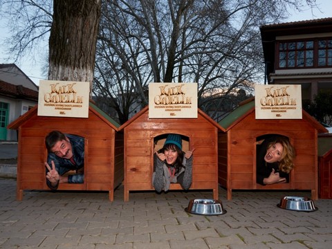 Kalk Gidelim... EKİP, SOKAK HAYVANLARINI UNUTMADI!..