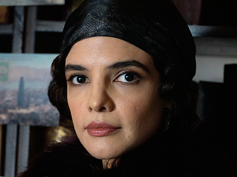 Hale Sürel... HANGİ DİZİYE KATILDI?...