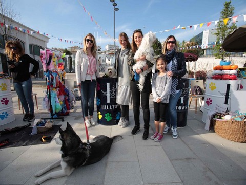 Pati Fest... CAN DOSTUMUZ EVCİL HAYVANLAR AVM'LERE GİREBİLECEK Mİ?..