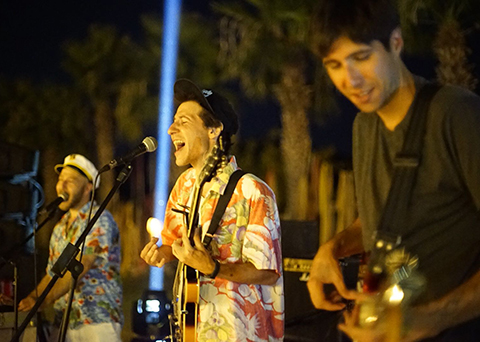 PALMİYELER BARAKA'DA!