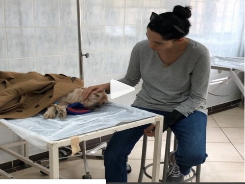 Başak Sayan... KÖPEĞİ İÇİN DUA İSTEDİ!..