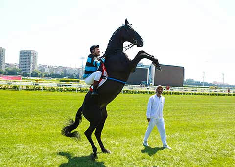 Ekin Koç... JOKEYLİĞE NASIL HAZIRLANDI?