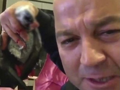 MasterChef Murat Özdemir... EZİYET ETTİĞİ PAPAĞAN BAHTİYAR KURTARILAMADI!..