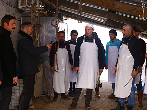 Kalk Gidelim... DAL AİLESİ EKMEK TEKNELERİNİN PEŞİNDE!