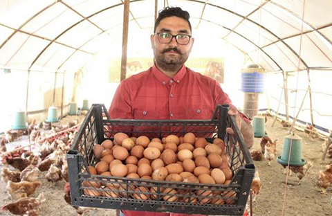 TAVUKLARINA MÜSLÜM GÜRSES DİNLETTİ, İŞTE SONUÇ!