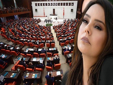 Ebru Gündeş... TBMM'DE "VIP" TARTIŞMASI!..