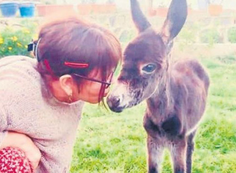 Sezen Aksu...ANNESİZ KALAN SIPAYA SAHİP ÇIKTI!