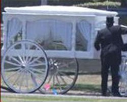 Michael Jackson... SON YOLCULUK CAM TABUTTA!