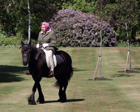 KRALİÇE KARANTİNADAN ÇIKTI, ATA BİNDİ!