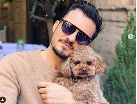 Orlando Bloom... KAYIP KÖPEĞİNDEN ACI HABER!