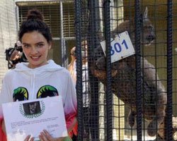 Nil Karaibrahimgil... O DA EVLAT EDİNDİ!