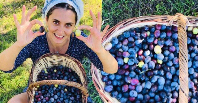 Aslıhan Gürbüz...ZEYTİN GÜZELİ!