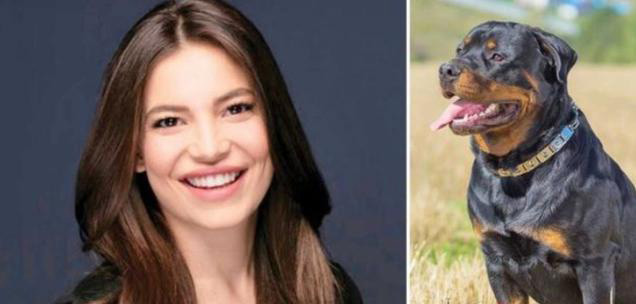 Hazal Erişkin...EVCİL HAYVAN KAZASI!