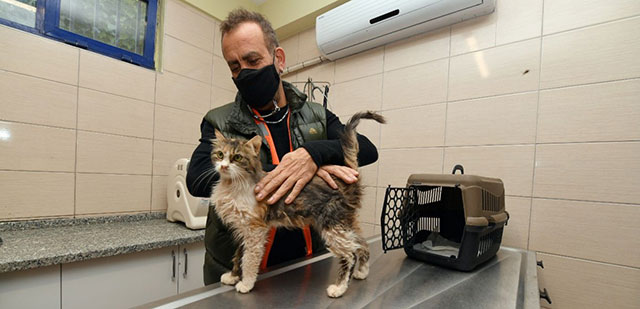 Haluk Levent...DEPREMZEDE KEDİYİ SAHİPLENDİ!