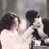 Şebnem Sönmez... FİLM İÇİN KEDİ OLDU!