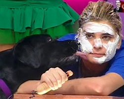 "Şaşırtamali"... YARIŞMACILARI KÖPEKLER YALADI!..