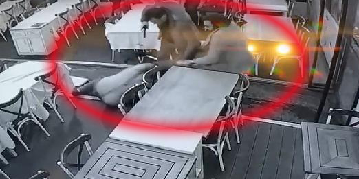 Şafak Mahmutyazıcıoğlu...İŞTE KARE KARE  SALDIRI ANI