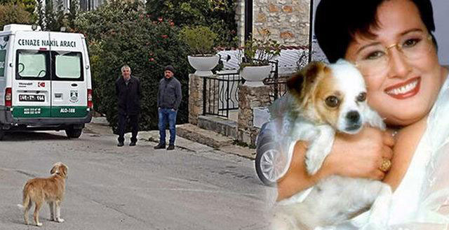 Akrep Nalan... KÖPEĞİ OLANI BİTENİ UZAKTAN İZLEDİ!