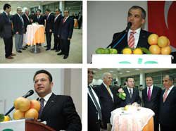 MERSİN TURUNÇGİL FESTİVALİ SANAT ŞÖLENİNE HAZIR!