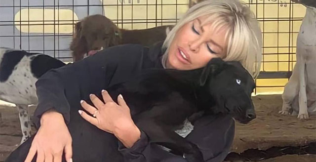 Ajda Pekkan...  "BİR AKIL TUTULMASI YAŞANIYOR, ACİLEN YASA TASARISI DEĞİŞTİRİLMELİ!"