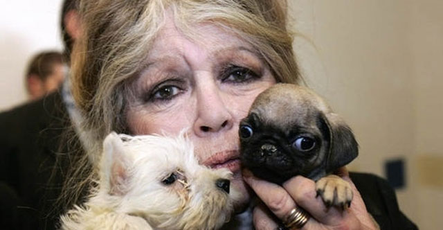 Brigitte Bardot... HASTANEYE KALDIRILMIŞTI; AÇIKLAMA GELDİ!