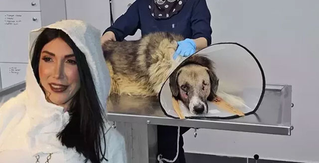 Hande Yener... 'ATEŞ'İ SAHİPLENDİ!