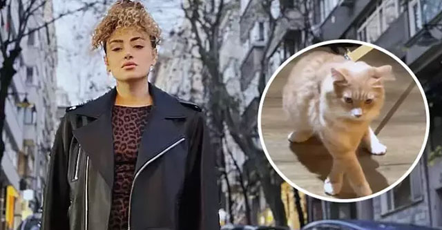 Dilan Çıtak... UÇAKTA KEDİ KAVGASI, KARAKOLLUK OLDU!