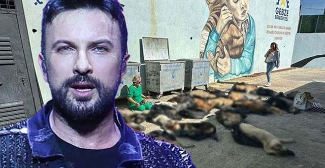 Tarkan... GEBZE'DEKİ KATLİAMA TEPKİ!